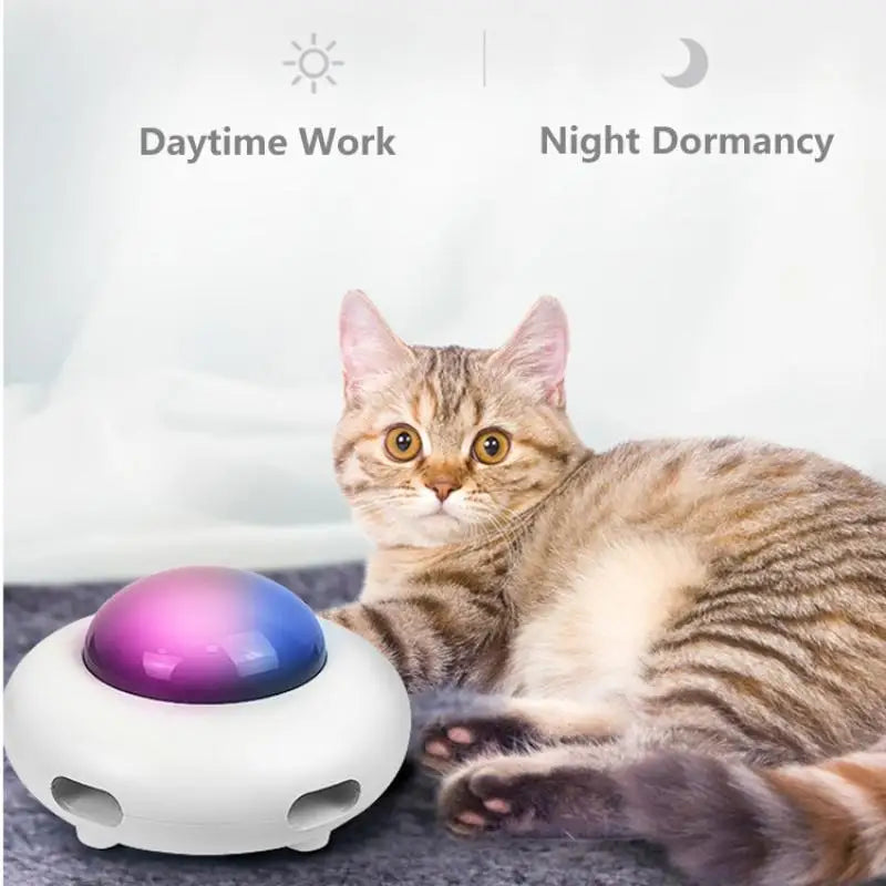 Smart Cat UFO Toy